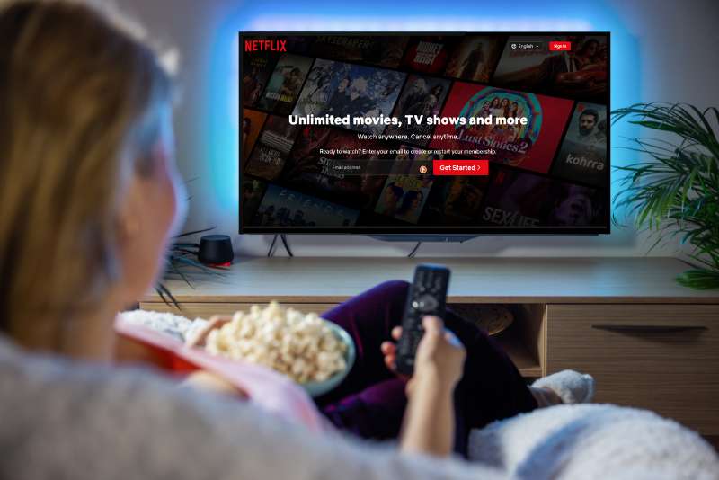 Embracing the Password Sharing Crackdown: Netflix Users Adapt without Resistance