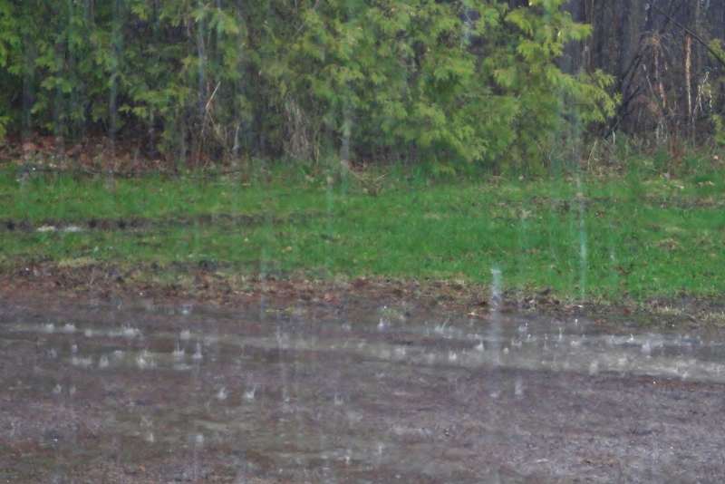 Northeast India Braces for Intense Rainfall Amid El Nino Effect