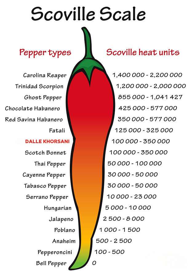 Comparative image of Dalle Khorsani on the Scoville scale, highlighting its spiciness.
