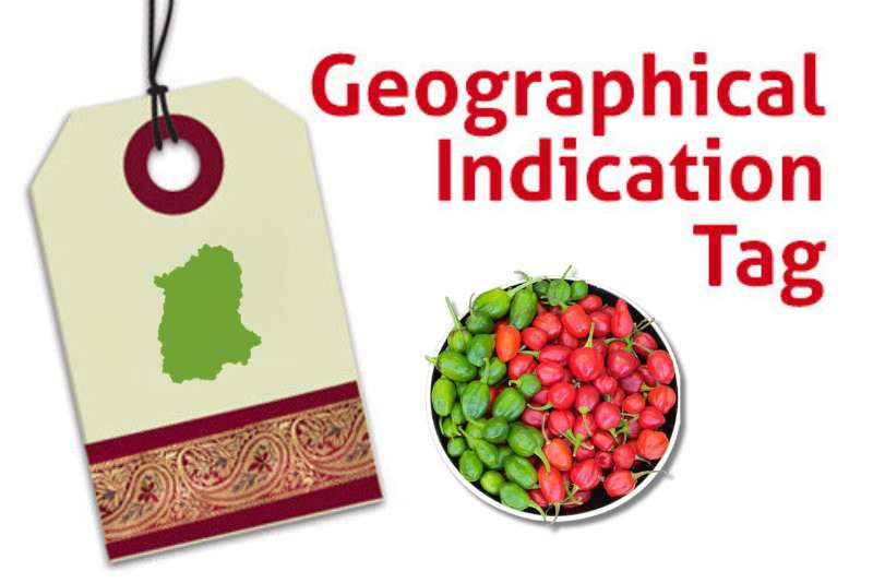 Geographical Indication (GI) tag with Dalle Khorsani, symbolizing its protected status.